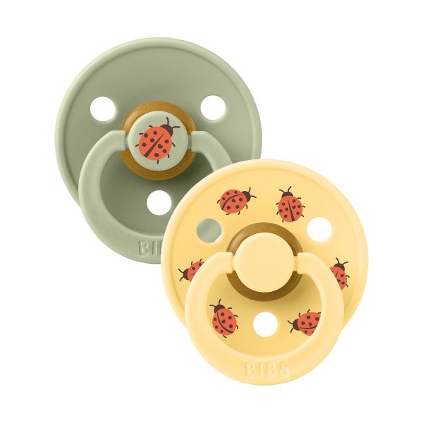 BiBs Studio Colour Fopspenen - Rond - 2 Stuks - 6-18 Mnd - Ladybug Sage Mix 