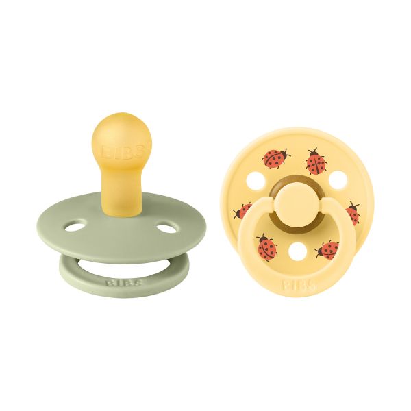BiBs Studio Colour Fopspenen - Rond - 2 Stuks - 6-18 Mnd - Ladybug Sage Mix 