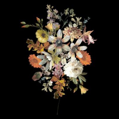 Fotobehang Bloemstilleven Multicolor Op Zwart