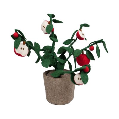 Kidsdepot Plant - Apple 