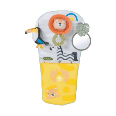 Taf Toys Savannah Play &amp; Kick Autospeeltje